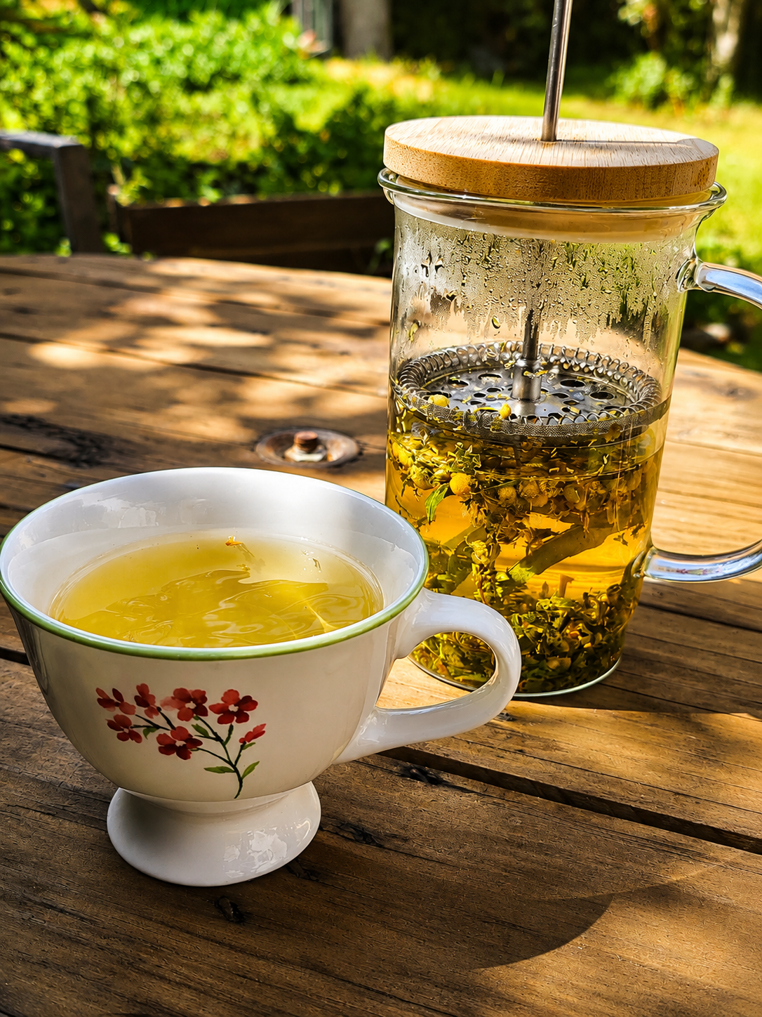 Une tisane printanière pour accompagner le renouveau .