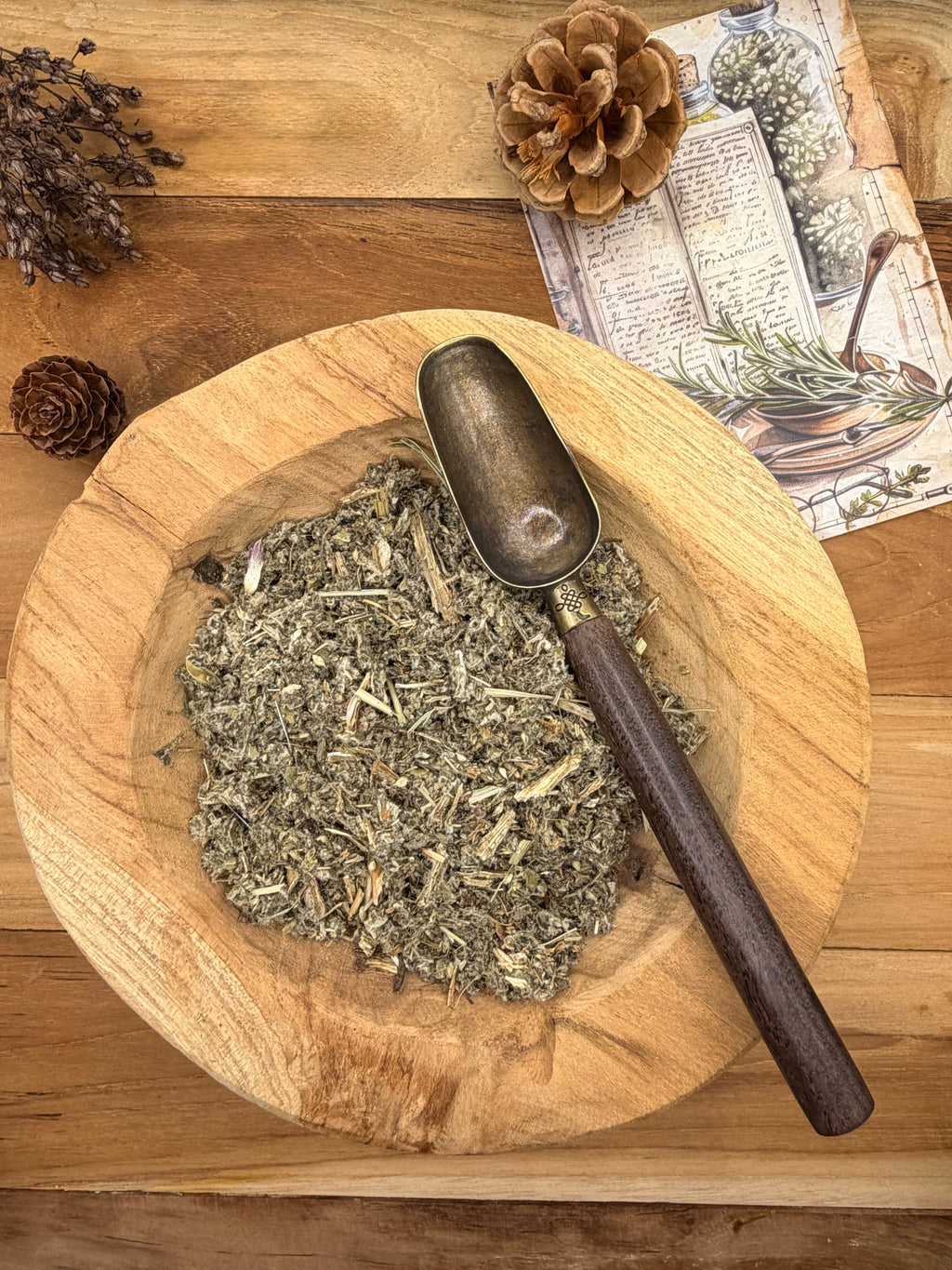 ARTICHAUT  (Cynara cardunculus)  – Feuilles coupées – 20 g