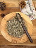 ARTICHAUT  (Cynara cardunculus)  – Feuilles coupées – 20 g