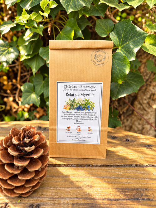 Éclat de Myrtille – Rooibos vert Myrtille & Gingembre -40g
