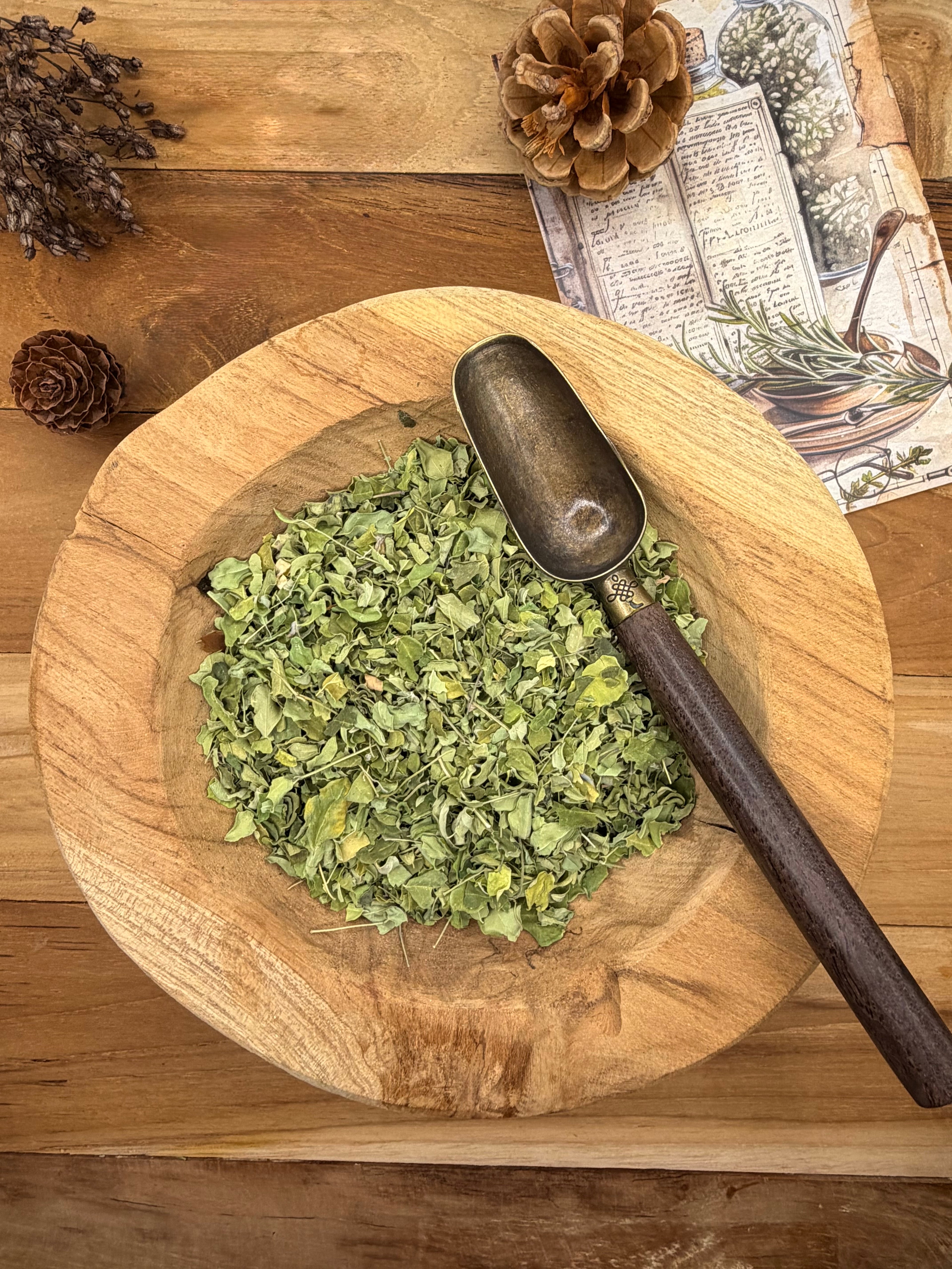 MORINGA – Feuilles 40 g (Moringa oleifera )