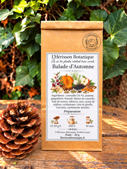 Balade d’Automne – Une infusion chaleureuse aux saveurs d’automne -40g
