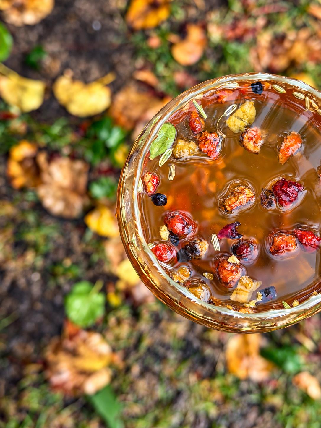 Balade d’Automne – Une infusion chaleureuse aux saveurs d’automne -40g