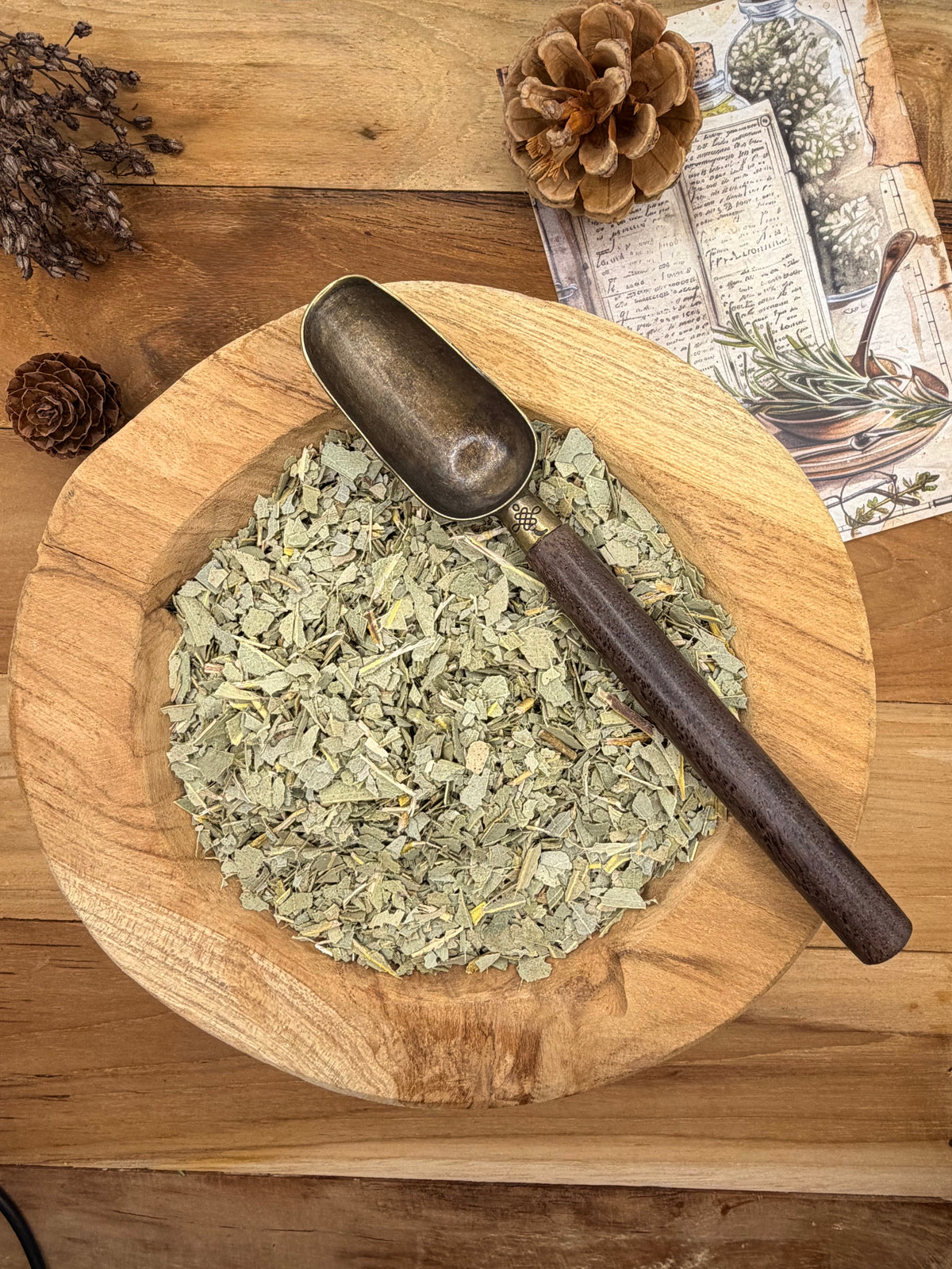 EUCALYPTUS ( Eucalyptus globulus ) feuilles coupées  40g