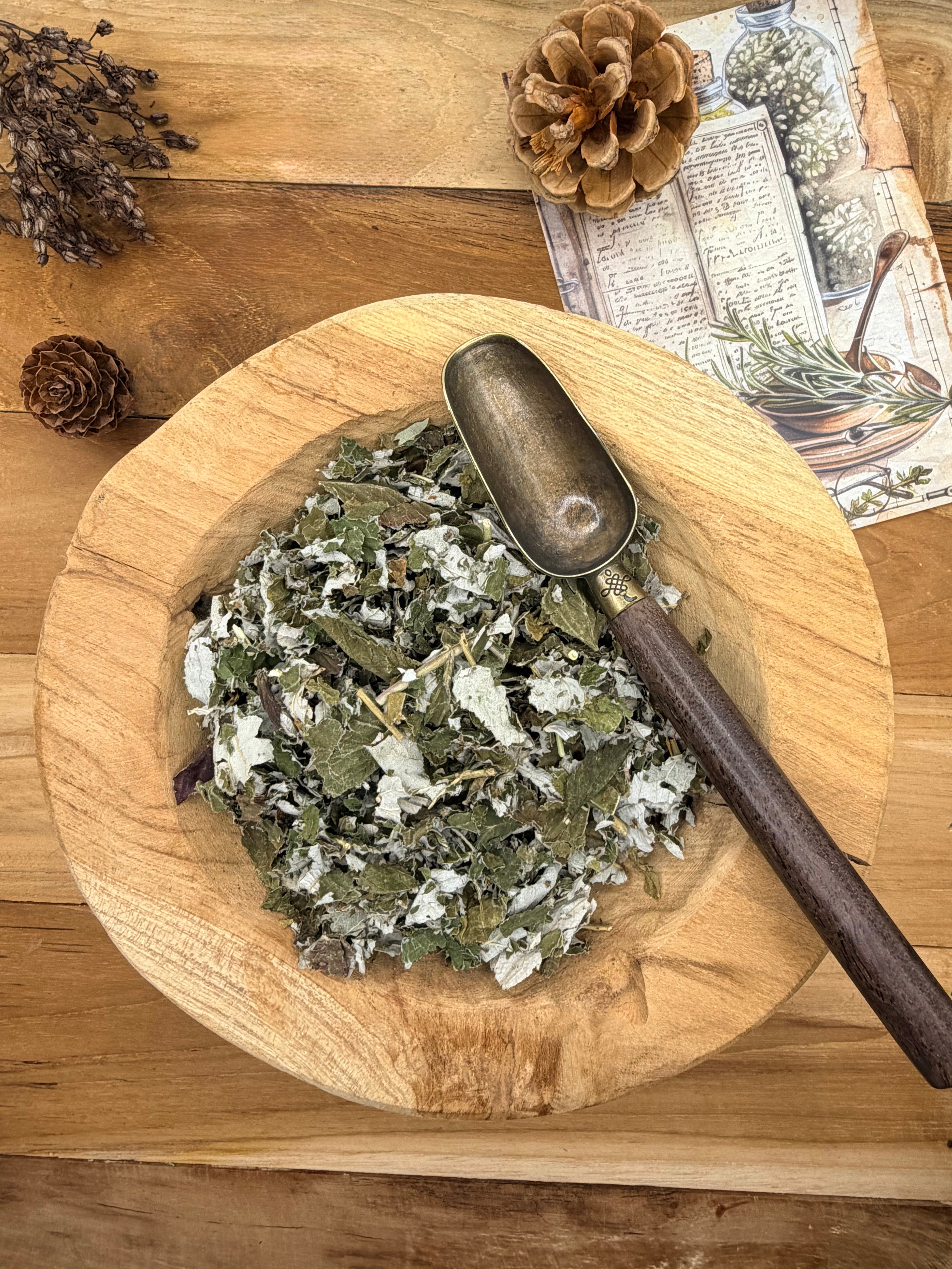 FRAMBOISIER  ( Rubus idaeus ) feuilles   40g