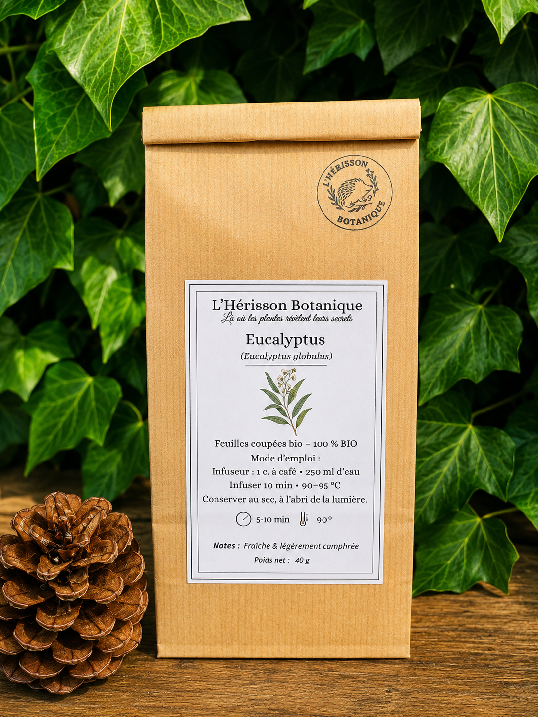 EUCALYPTUS ( Eucalyptus globulus ) feuilles coupées  40g