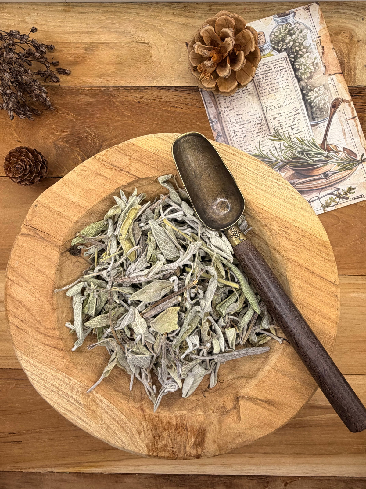SAUGE (Salvia officinalis) sommités feuilles 30 g