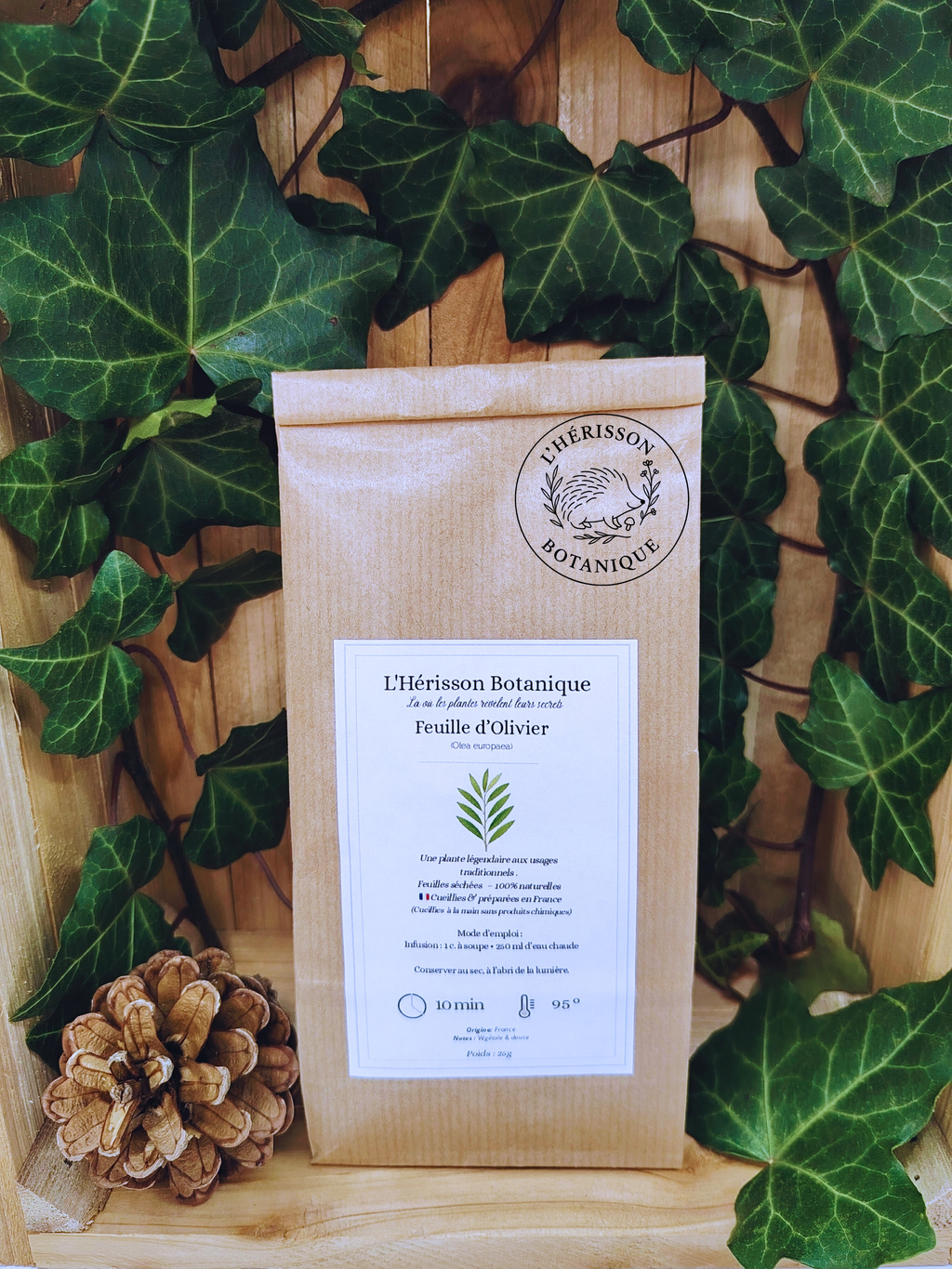 FEUILLE D'OLIVIER 25 g – (Olea europaea )