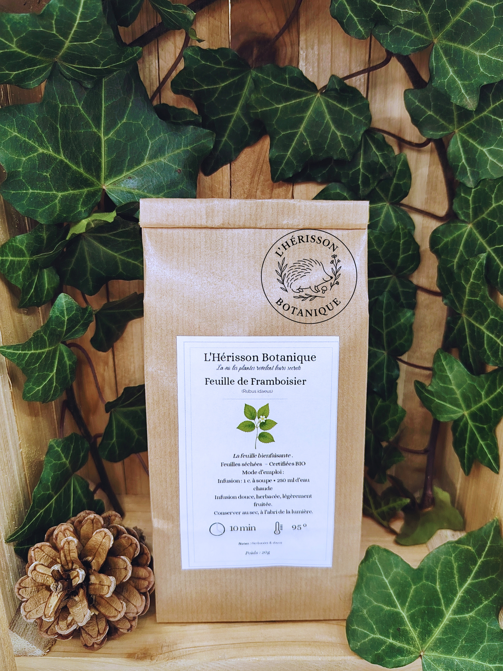 FRAMBOISIER  ( Rubus idaeus ) feuilles bio 20 g