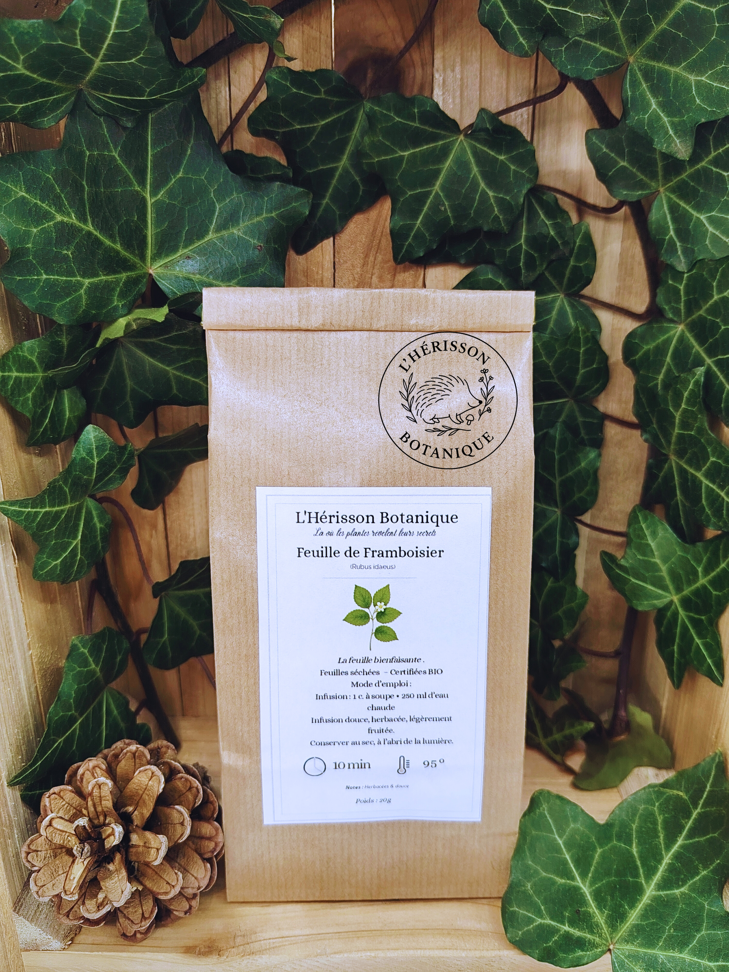 FRAMBOISIER  ( Rubus idaeus ) feuilles bio 20 g