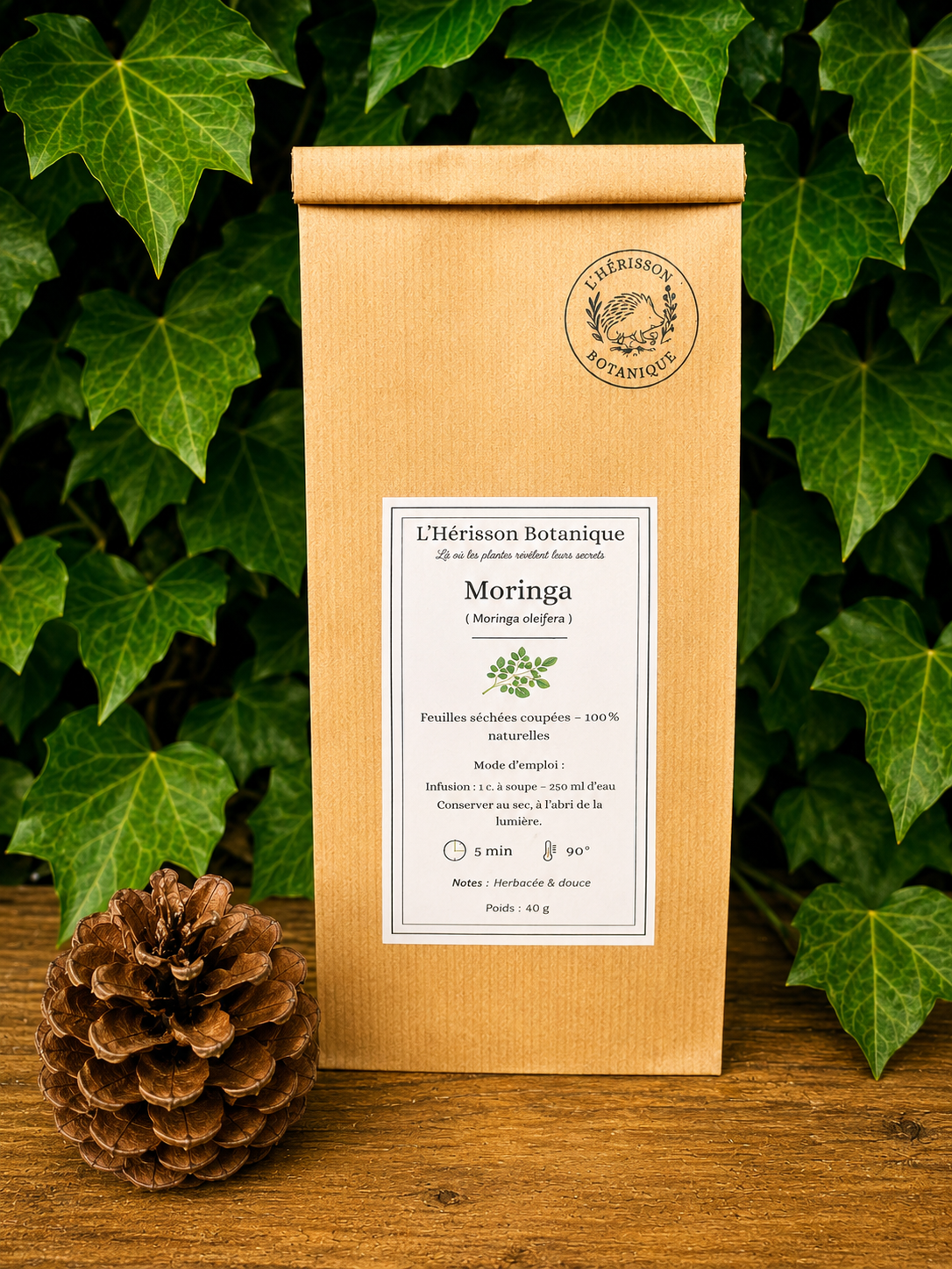 MORINGA – Feuilles 40 g (Moringa oleifera )