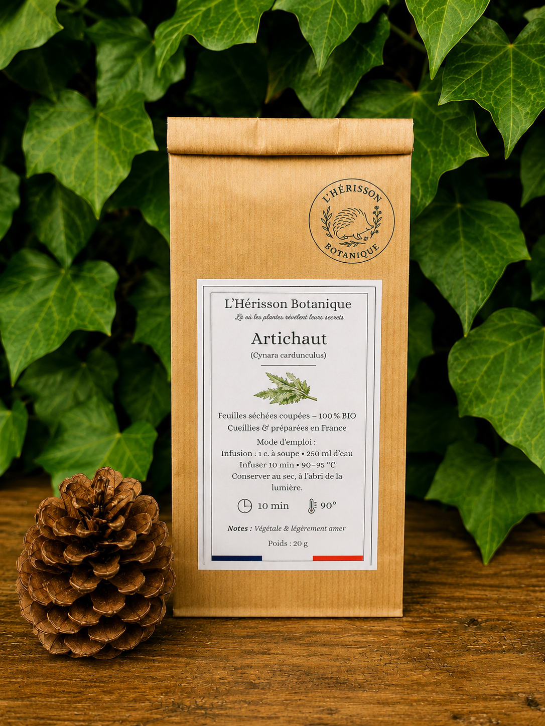 ARTICHAUT  (Cynara cardunculus)  – Feuilles coupées – 20 g