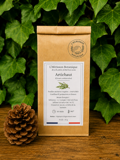 ARTICHAUT  (Cynara cardunculus)  – Feuilles coupées – 20 g