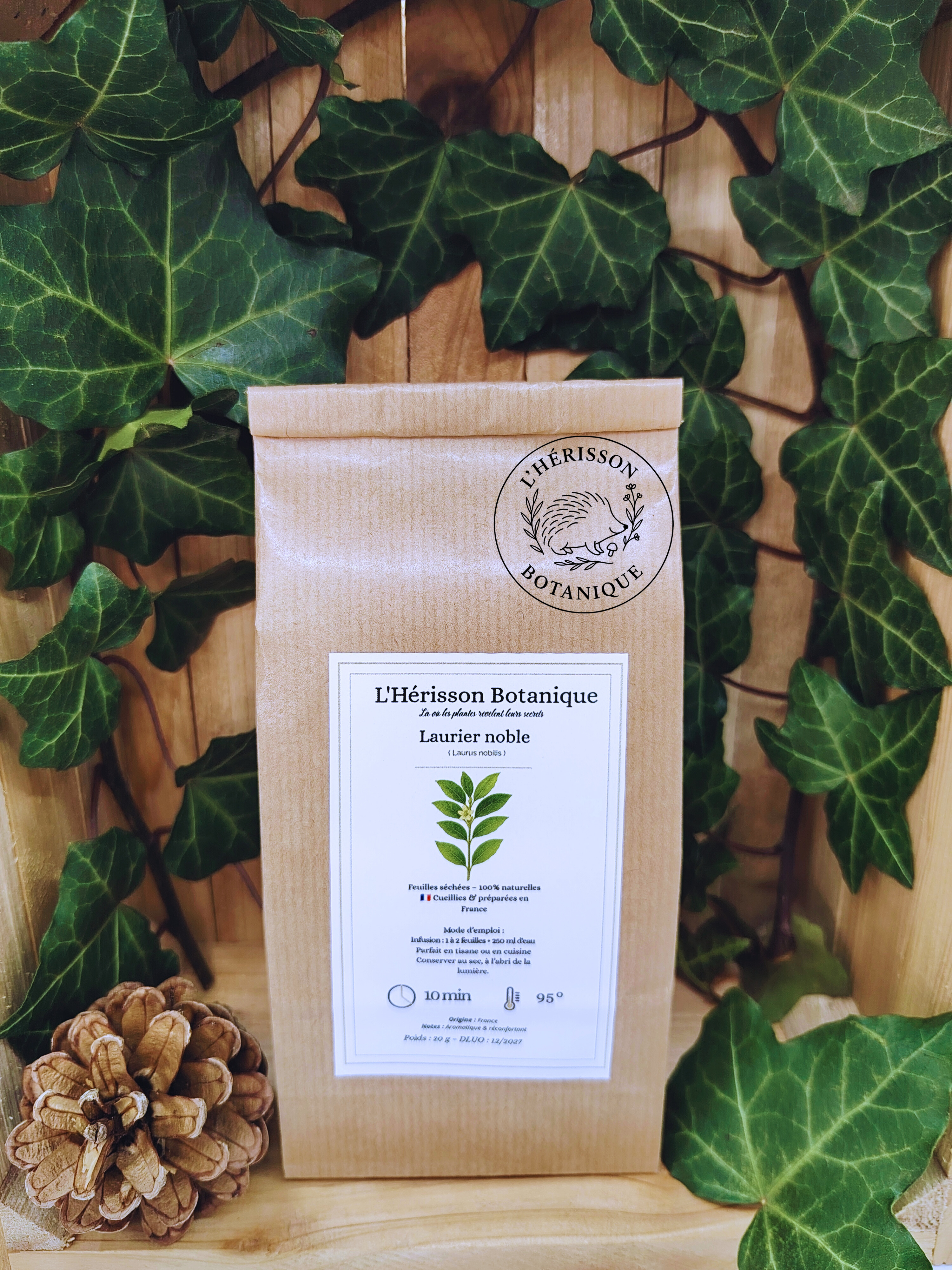 LAURIER NOBLE  (Laurus nobilis) Noble Lot de 10 feuilles qualité Premium  (Origine France )