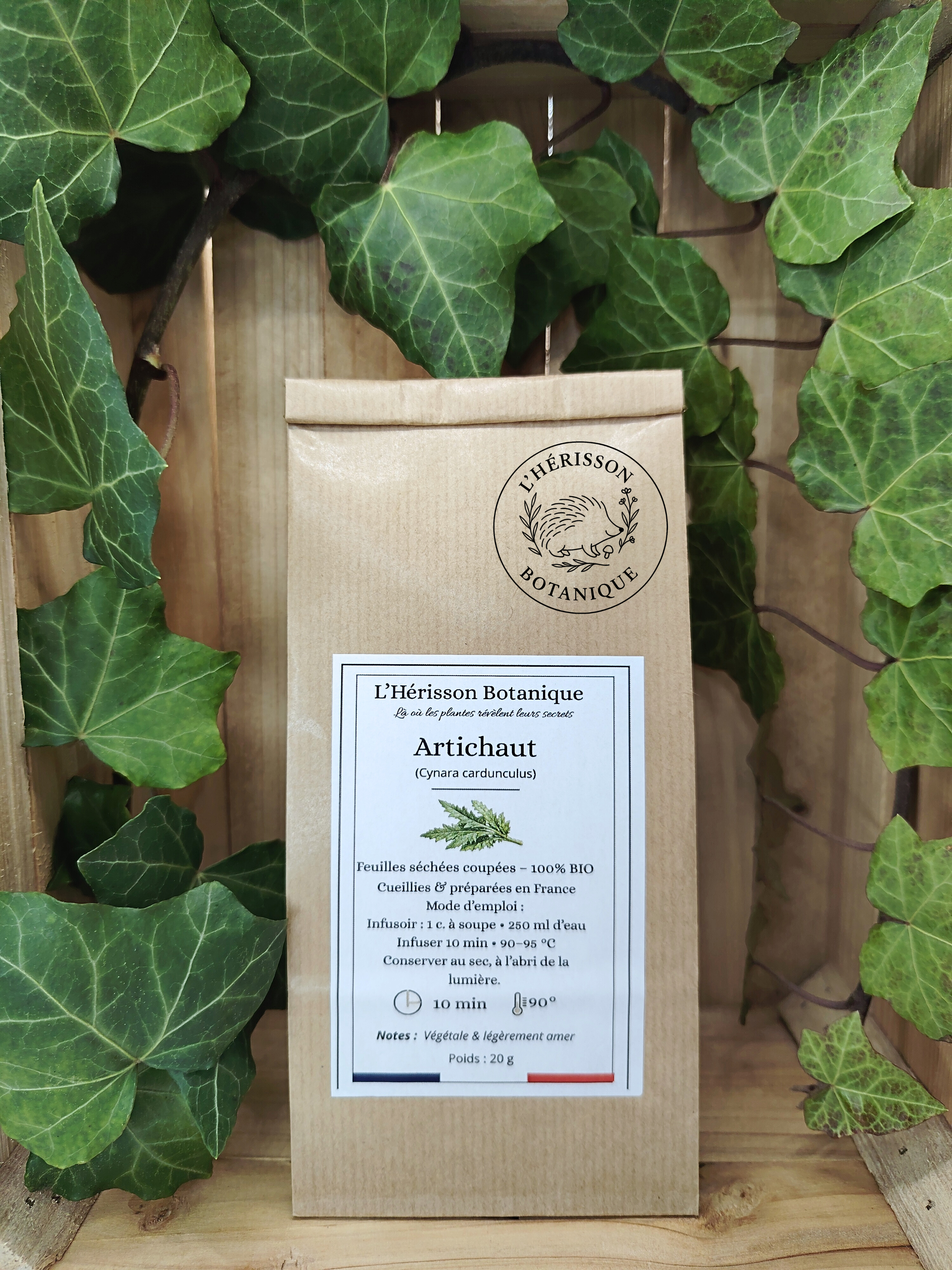 ARTICHAUT BIO – Feuilles coupées – 20 g  (Cynara cardunculus)