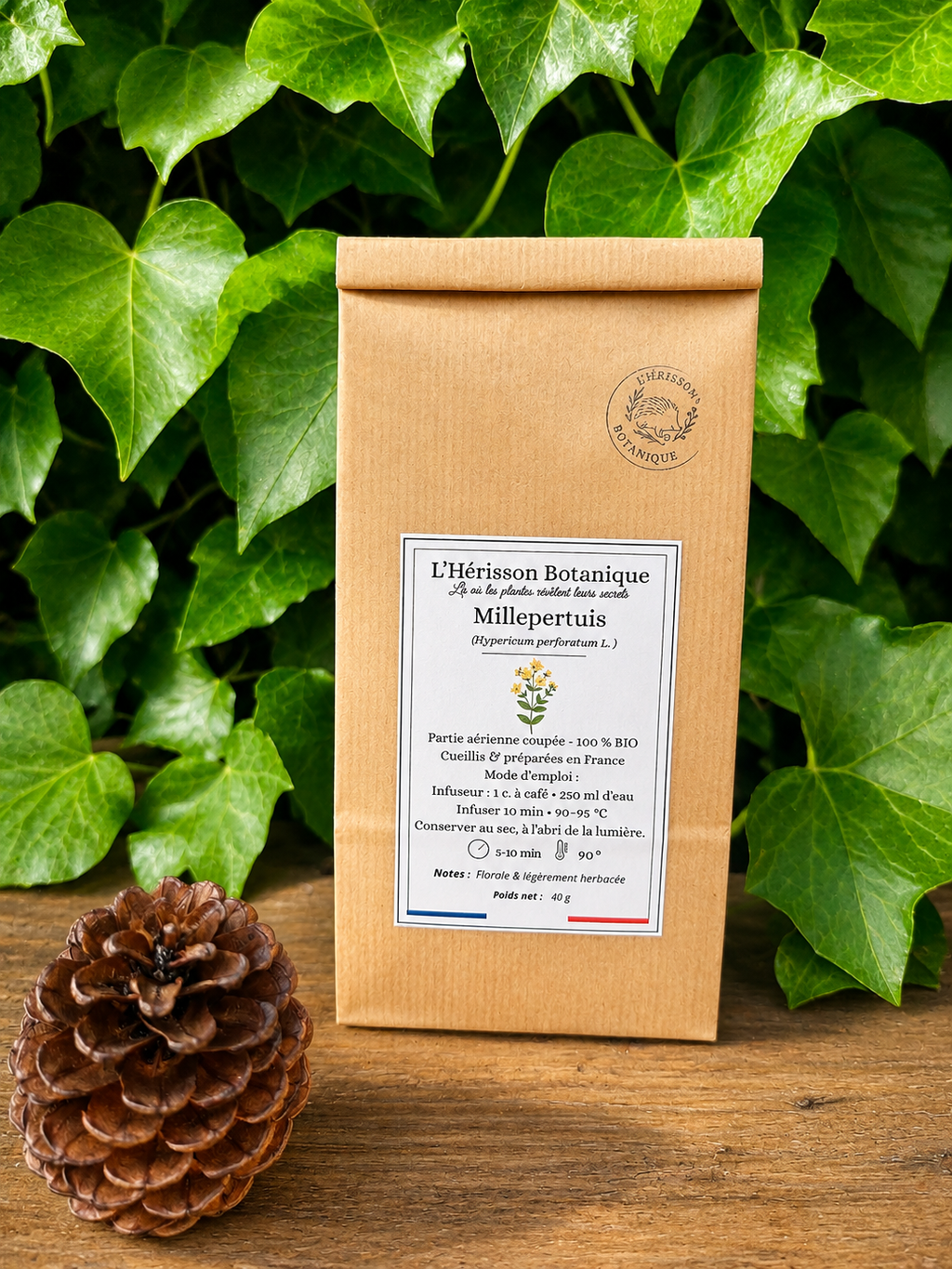 MILLEPERTUIS (Hypericum perforatum L.)  partie aérienne coupée  50 g)