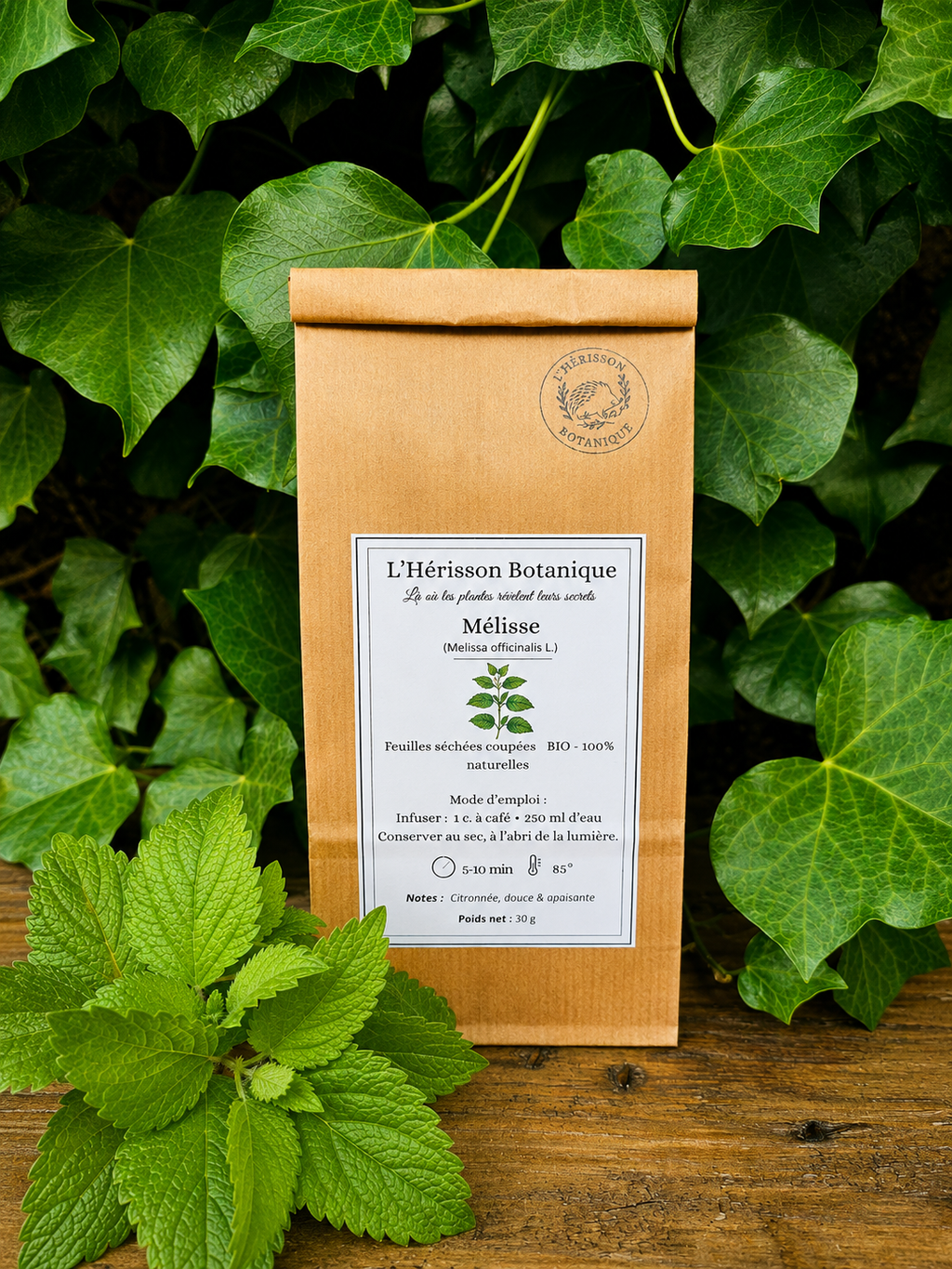 MELISSE  (Melissa officinalis)  Sommités et feuilles coupées – 30 g